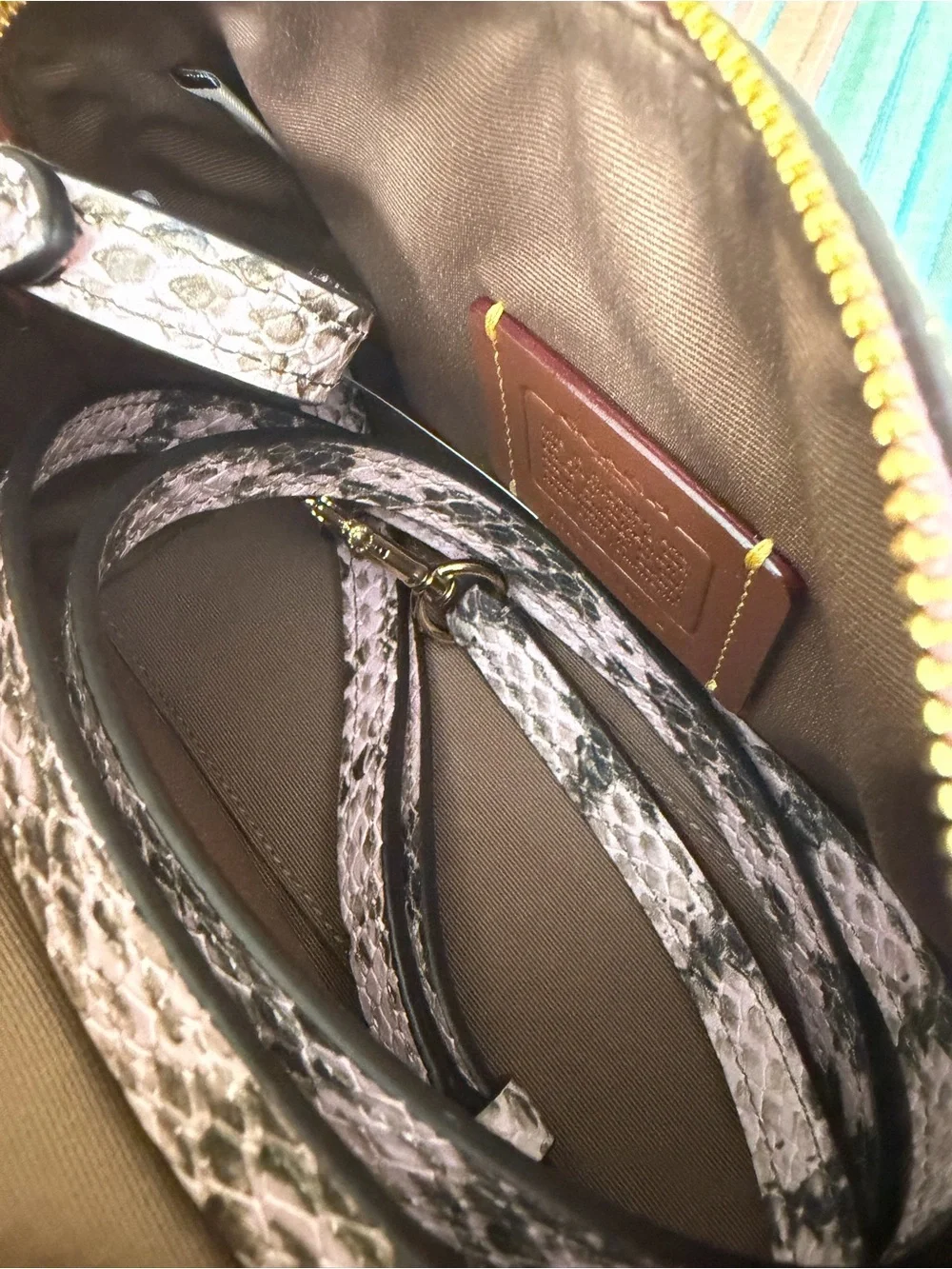 Coach Pink Snakeskin-Print Mini Rowan Satchel with Gold Hardware